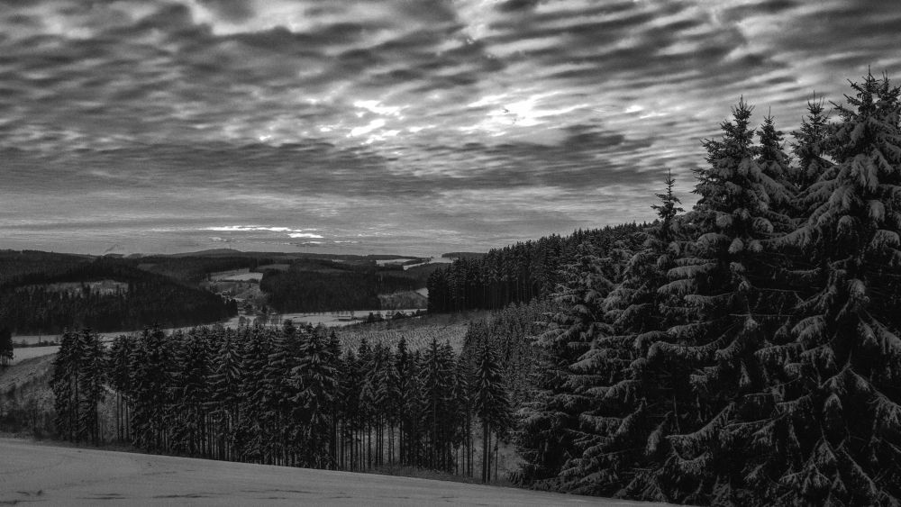 Reisefoto - Sauerland -Wolfgang Suellau