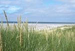 Amrum - Reisen - Wolfgang Süllau