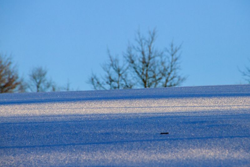 Winter im Sauerland - Wolfgang Suellau