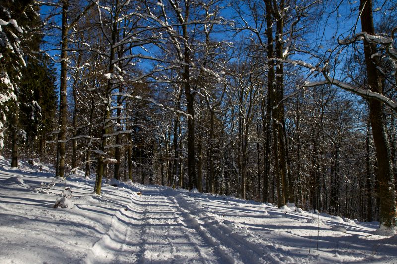 Winter im Sauerland - Wolfgang Suellau