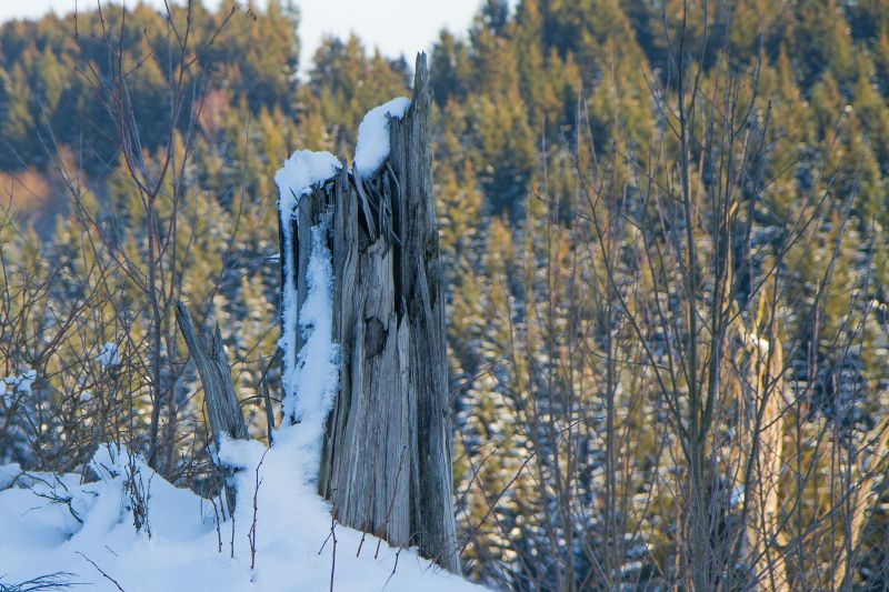 Winter im Sauerland - Wolfgang Suellau