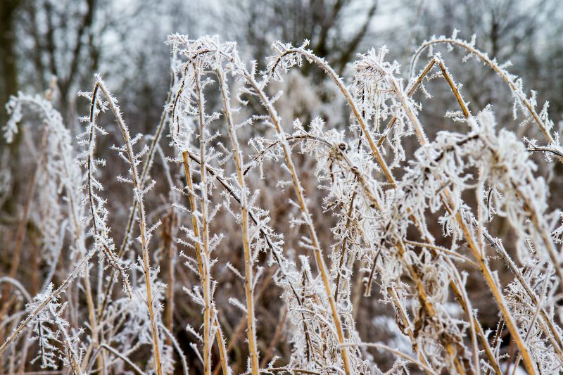 Winter im Sauerland - Wolfgang Suellau