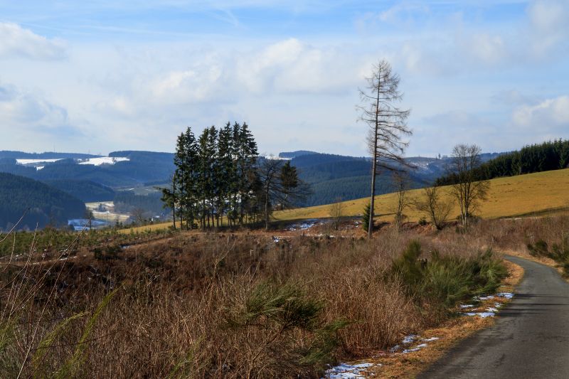 Winter im Sauerland - Wolfgang Suellau